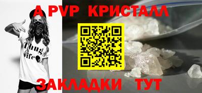 PSILOCYBIN Можга