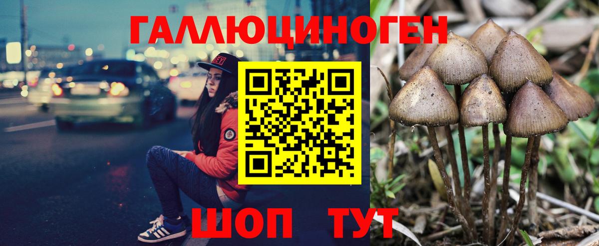 Галлюциногенные грибы Psilocybe Усть-Илимск